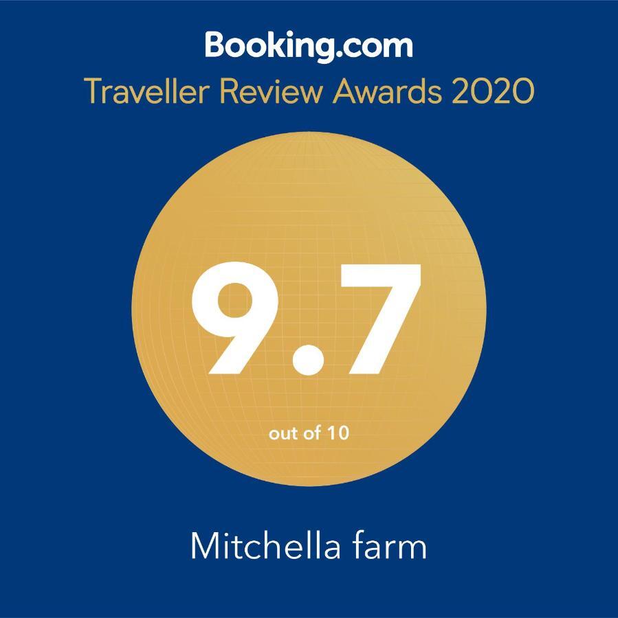 Апартаменти Mitchella Farm Ванака Екстер'єр фото